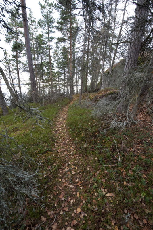 Boistö, P.porkola, DSC_4775